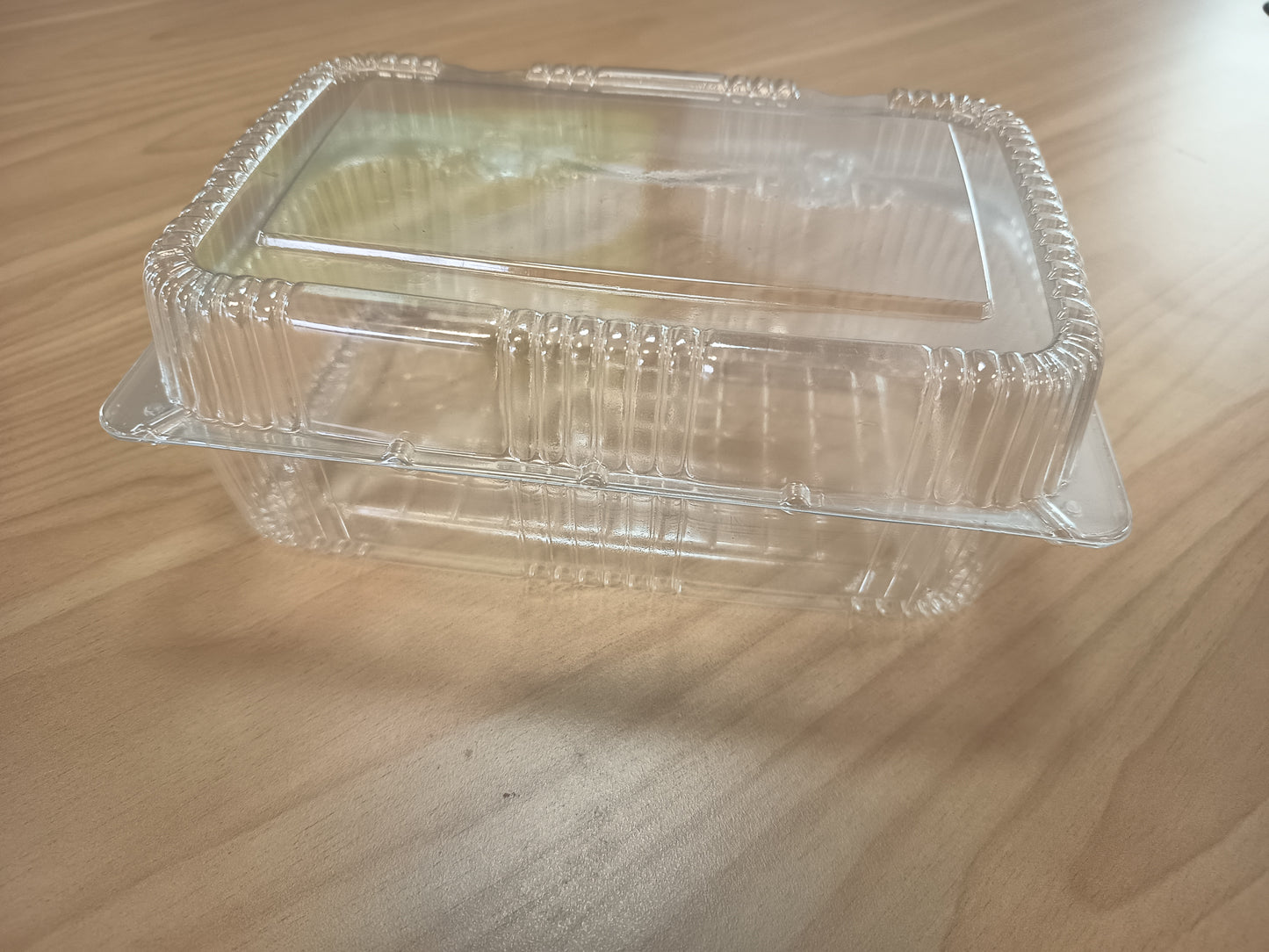 Food Packaging Container